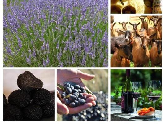 Отель La Ferme Les Eybrachas Reauville Экстерьер фото