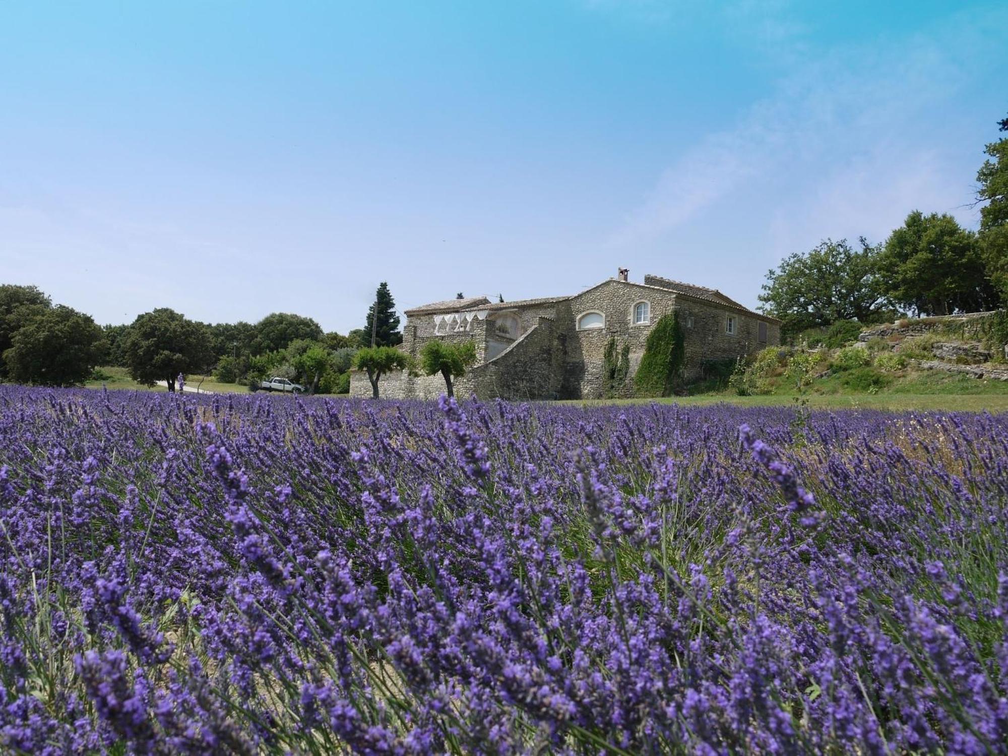 Отель La Ferme Les Eybrachas Reauville Экстерьер фото